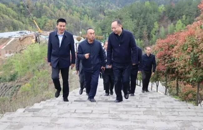 关于2023年陕西省茶产业技术体系工作座谈会在商南召开的资讯(2)