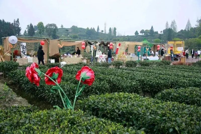 关于2023成都（邛崃）采茶季暨邛崃黑茶文化旅游节开幕的最新消息(6)