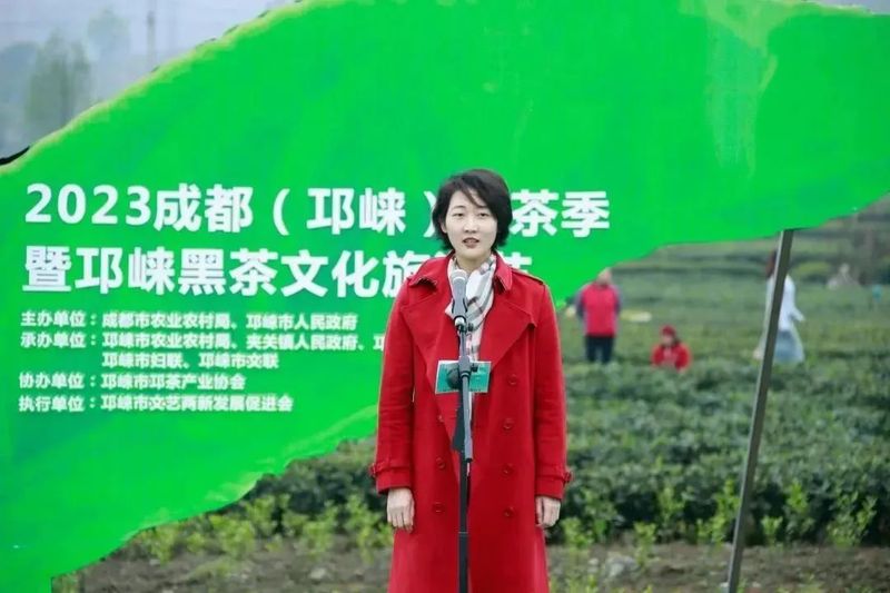 关于2023成都（邛崃）采茶季暨邛崃黑茶文化旅游节开幕的最新消息(1)