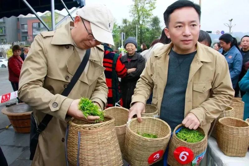 关于2023成都（邛崃）采茶季暨邛崃黑茶文化旅游节开幕的最新消息(16)