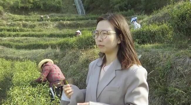 关于谷城：品味春天 从一杯绿茶开始的内容(3)