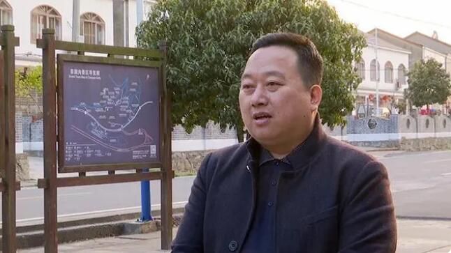 关于谷城：品味春天 从一杯绿茶开始的内容(11)