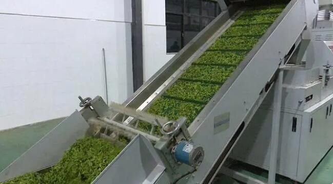 关于谷城：品味春天 从一杯绿茶开始的内容(7)