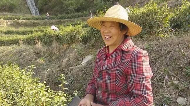 关于谷城：品味春天 从一杯绿茶开始的内容(2)