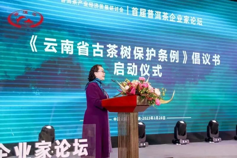 关于普洱茶产业经济发展研讨会暨首届普洱茶企业家论坛成功举办的资讯(28)