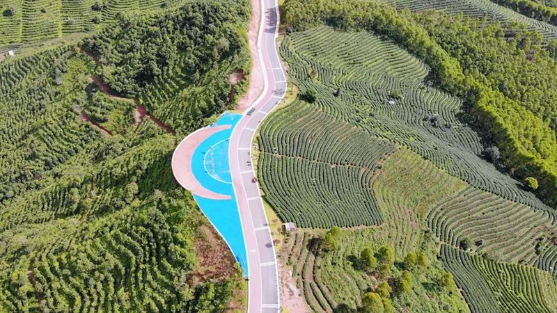 有关于春暖茶飘香！思茅倚象万亩有机茶园采摘忙的相关信息