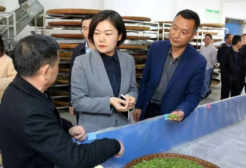 关于紫阳县：王燊督导调研重点项目建设和春茶生产工作的资讯(1)