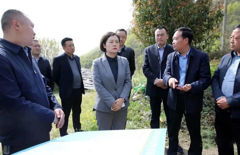 关于紫阳县：王燊督导调研重点项目建设和春茶生产工作的资讯