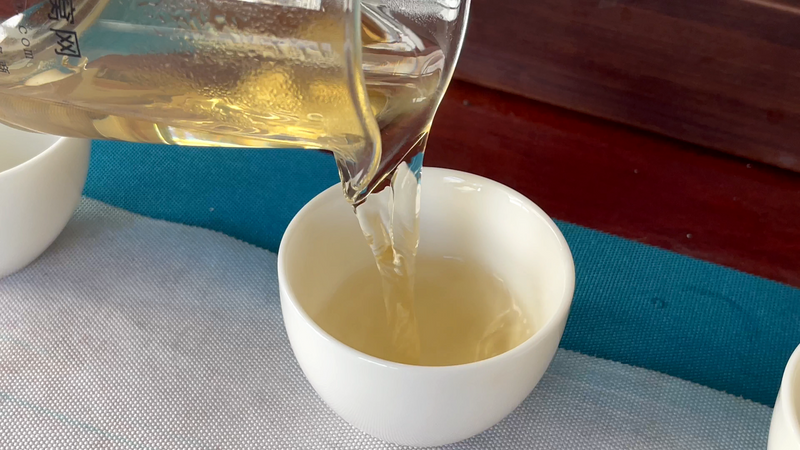 关于2023年昔归春茶古树8000-12000元的内容(3)