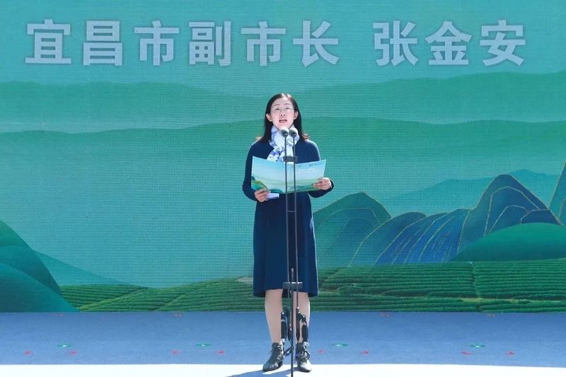 有关于宜茶萧氏喊你“宜起购”！拥抱电商，重振宜茶辉煌的信息(5)