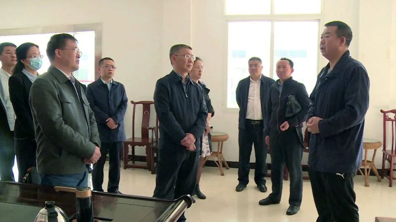 关于邓前卫来县调研茶文化保护发展立法工作的新闻(1)