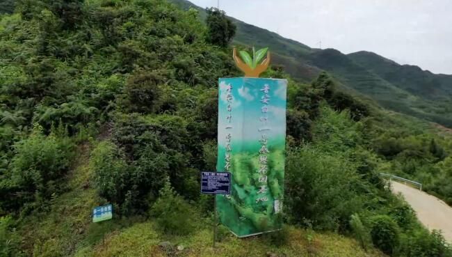 关于“共富茶”跨越山海助力乡村振兴的相关内容(1)