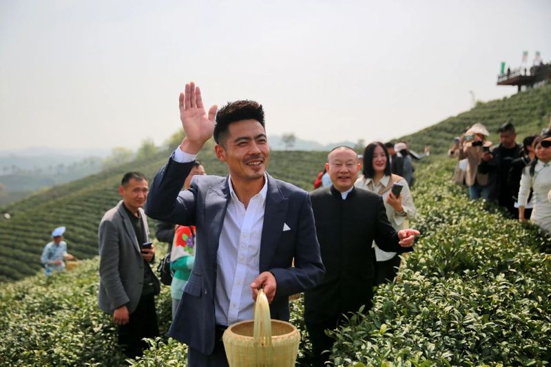 关于好嗨哟！信阳毛尖 网红大咖嗨翻文新春茶节的资讯(10)