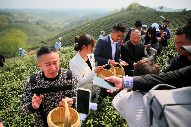 关于好嗨哟！信阳毛尖 网红大咖嗨翻文新春茶节的资讯(11)