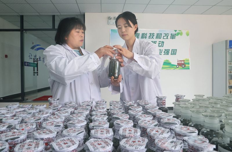 关于都匀毛尖茶地方标准实物标准样正式发布的内容(1)