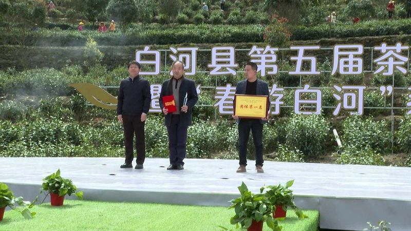 关于第五届白河县茶旅文化节暨“春游白河”系列活动正式启动的资讯(7)