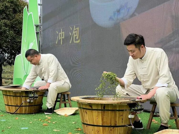 有关于2023春茶季:信阳毛尖少量开采,各名茶最新价格的消息(3)