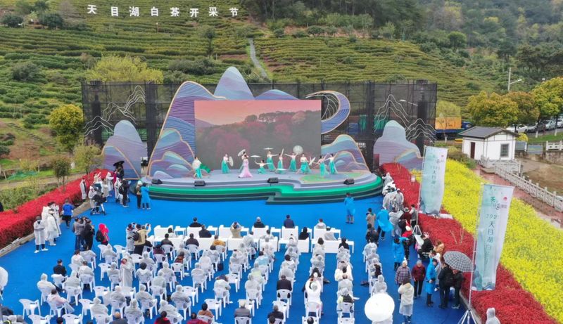 关于走进茶区———江苏省茶叶学会专家参加2023天目湖白茶开采节活动的消息