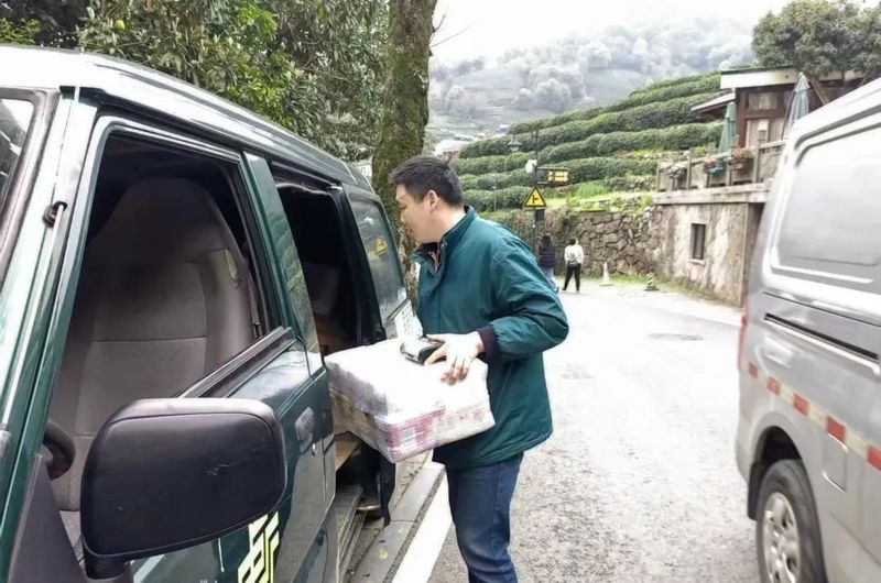 关于龙井采摘正当时，邮政护航春茶季的新闻(4)