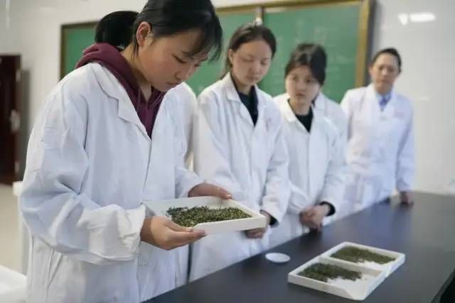 有关于陕西：把课堂开在茶山上的最新消息(4)