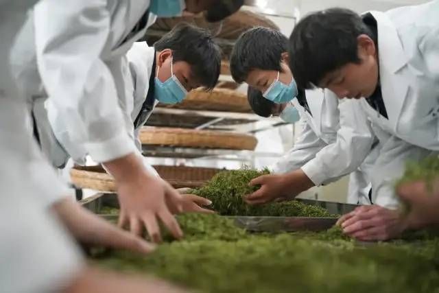 有关于陕西：把课堂开在茶山上的最新消息(3)