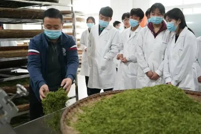 有关于陕西：把课堂开在茶山上的最新消息(2)