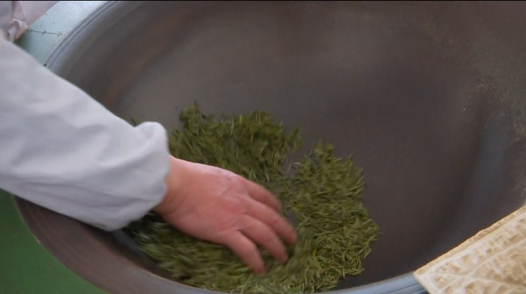 关于表现惊艳！诸暨西施石笕，获茶学专家点赞！的新闻(4)