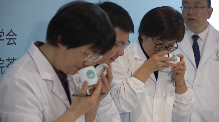 关于表现惊艳！诸暨西施石笕，获茶学专家点赞！的新闻