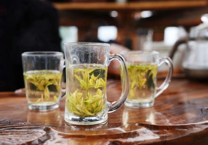 关于满园春芽吐新绿 春茶飘香采摘忙的最新消息(2)