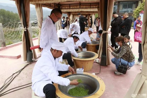 有关于陕西宁强将茶叶产业打造成为乡村振兴长效支柱产业的最新消息(2)