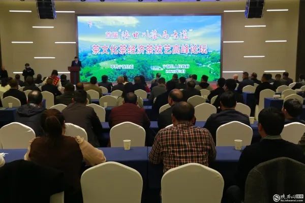 有关于陕西宁强将茶叶产业打造成为乡村振兴长效支柱产业的最新消息(3)