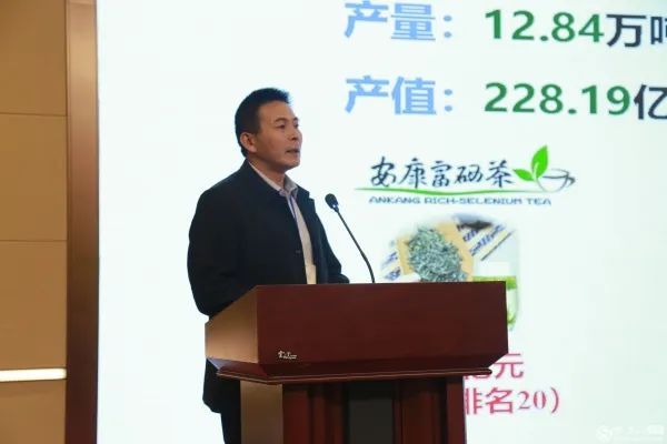 有关于陕西宁强将茶叶产业打造成为乡村振兴长效支柱产业的最新消息(4)