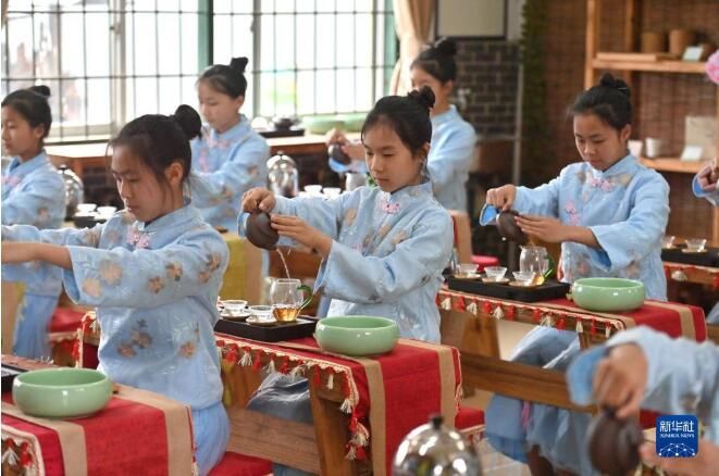 关于广西梧州市 茶香校园润童心的信息