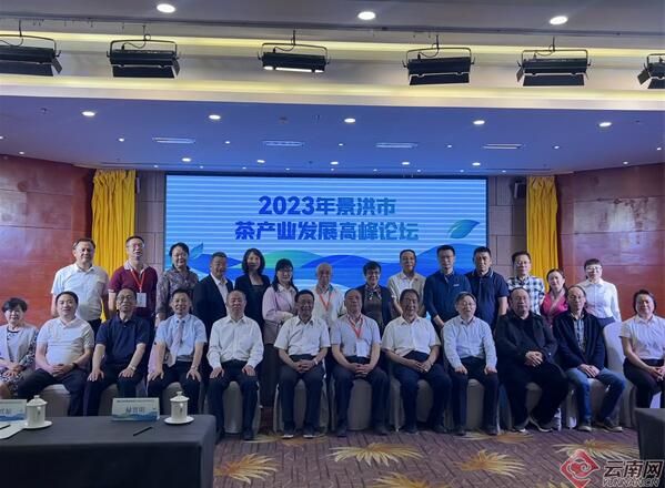 有关于景洪市2023年茶产业发展高峰论坛成功举办的新闻(2)