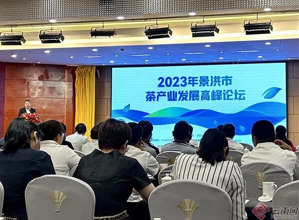 有关于景洪市2023年茶产业发展高峰论坛成功举办的新闻(3)