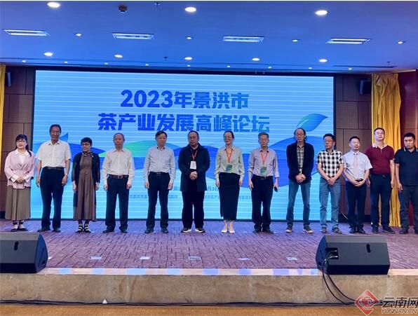 有关于景洪市2023年茶产业发展高峰论坛成功举办的新闻