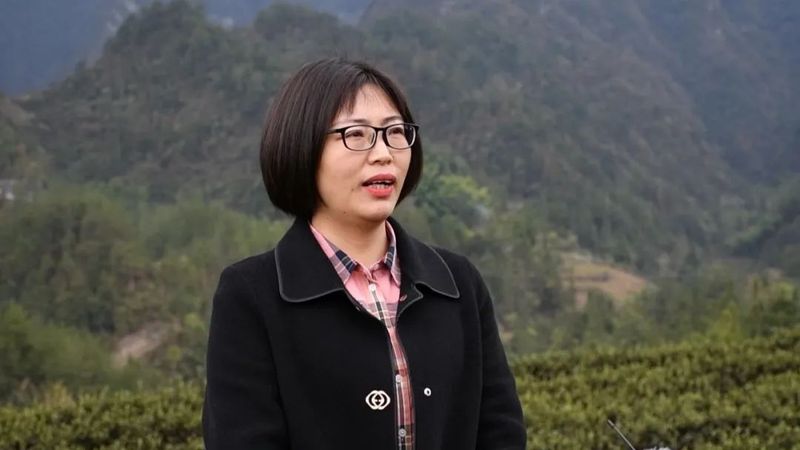 有关于明前茶飘香　黔江区2万多亩春茶全面开采的相关内容(6)