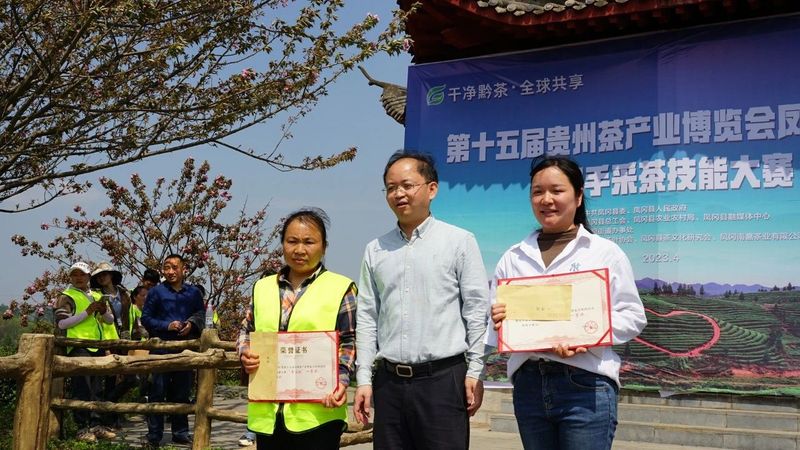 有关于双手采茶好：凤冈举行双手采茶技能大赛的内容(14)