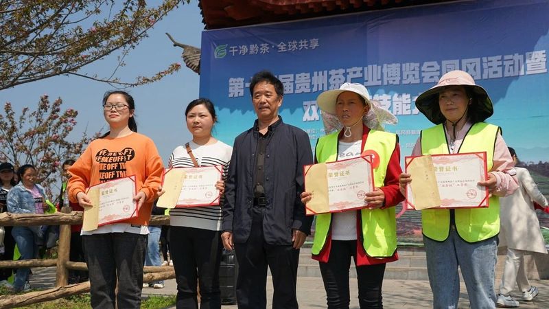 有关于双手采茶好：凤冈举行双手采茶技能大赛的内容(13)