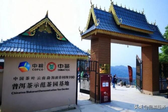 有关于云品出滇  “云茶码头”看昆明的内容(6)