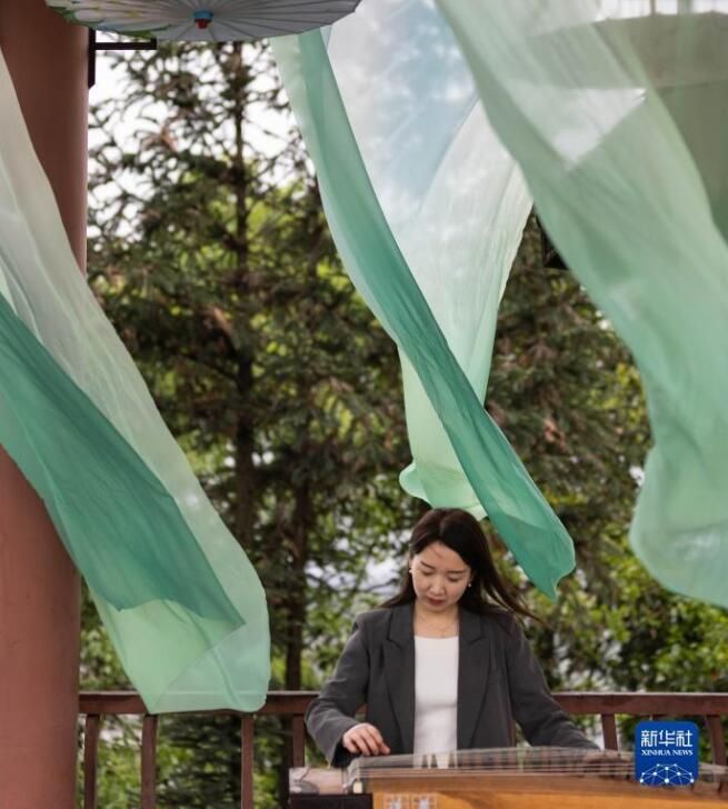 关于四川洪雅县 生态茶园茶飘香的信息(4)