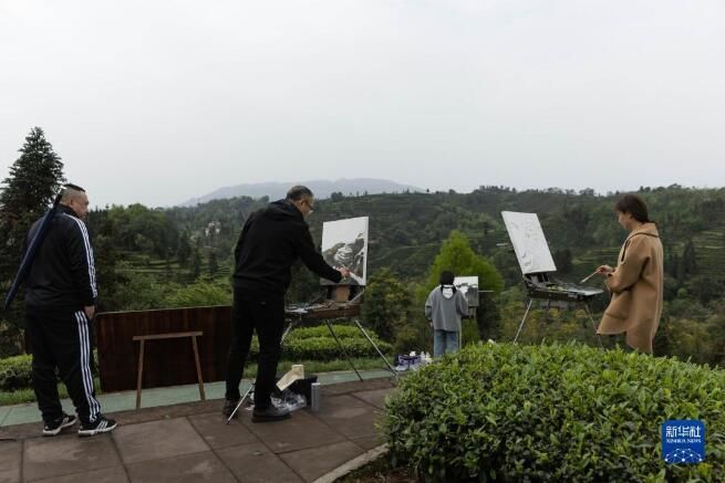 关于四川洪雅县 生态茶园茶飘香的信息(6)