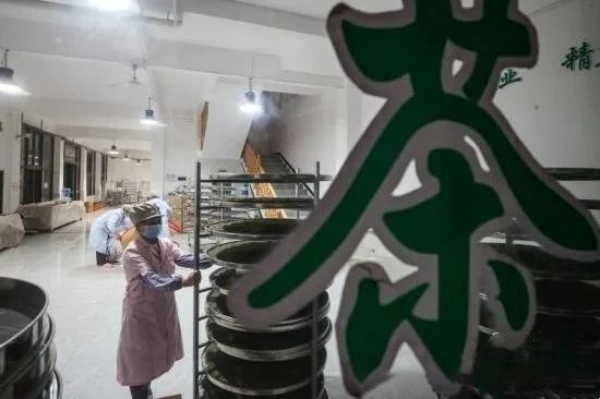 关于记者探访贵州贵定“云雾贡茶”制作技艺的消息(6)