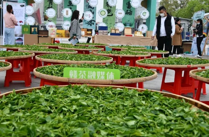 关于赣州市首届“赣南高山(硒)茶”春季展销会开幕的最新消息(6)