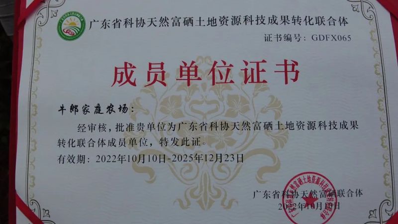 有关于武江龙归：致富春茶上市，迎来新“硒”望的相关内容(4)