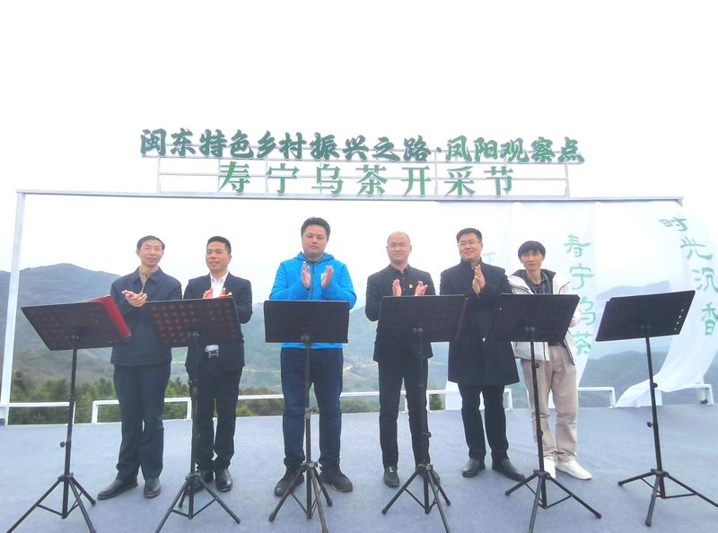 有关于“闽东特色乡村振兴之路·凤阳观察点”寿宁乌茶开采节举办的信息(6)