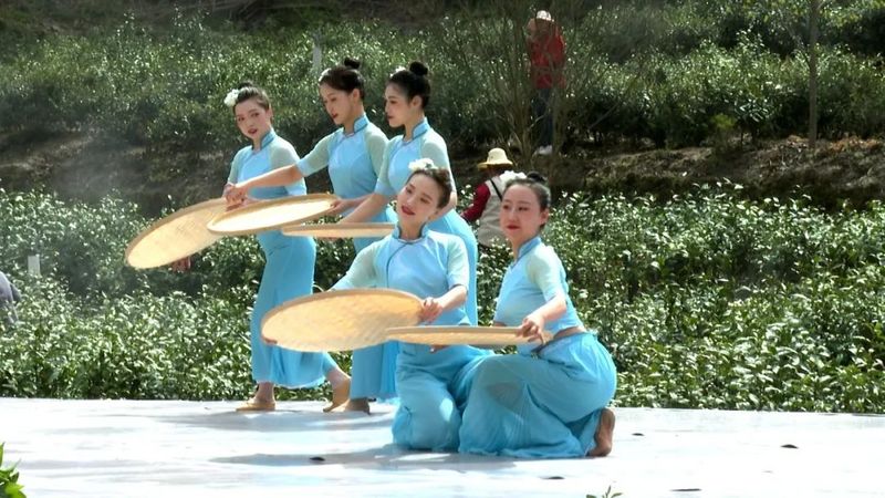 关于第五届白河县茶旅文化节暨“春游白河”系列活动正式启动的最新消息(4)