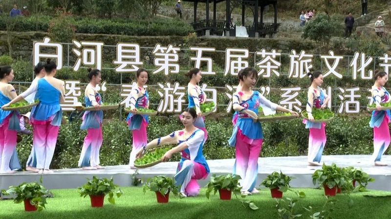 关于第五届白河县茶旅文化节暨“春游白河”系列活动正式启动的最新消息(5)