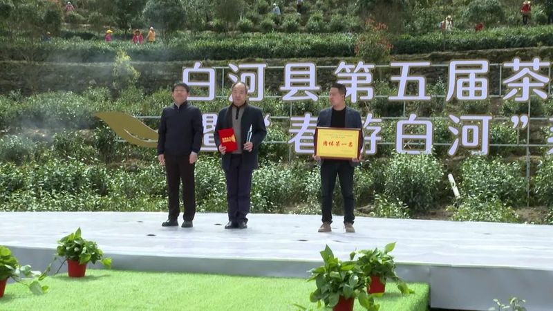 关于第五届白河县茶旅文化节暨“春游白河”系列活动正式启动的最新消息(9)
