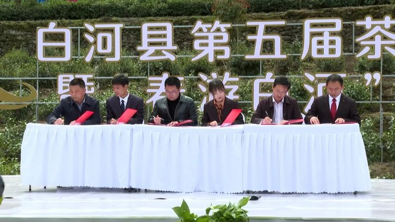 关于第五届白河县茶旅文化节暨“春游白河”系列活动正式启动的最新消息(7)